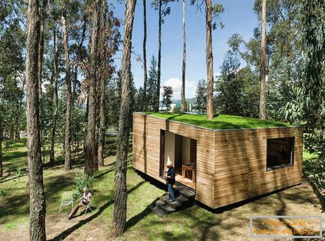 Piccola casa nella foresta con tetto di muschio