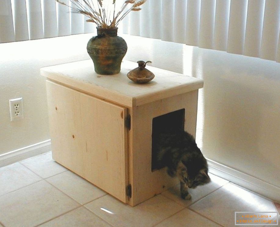 La casa del gatto dalle scatole