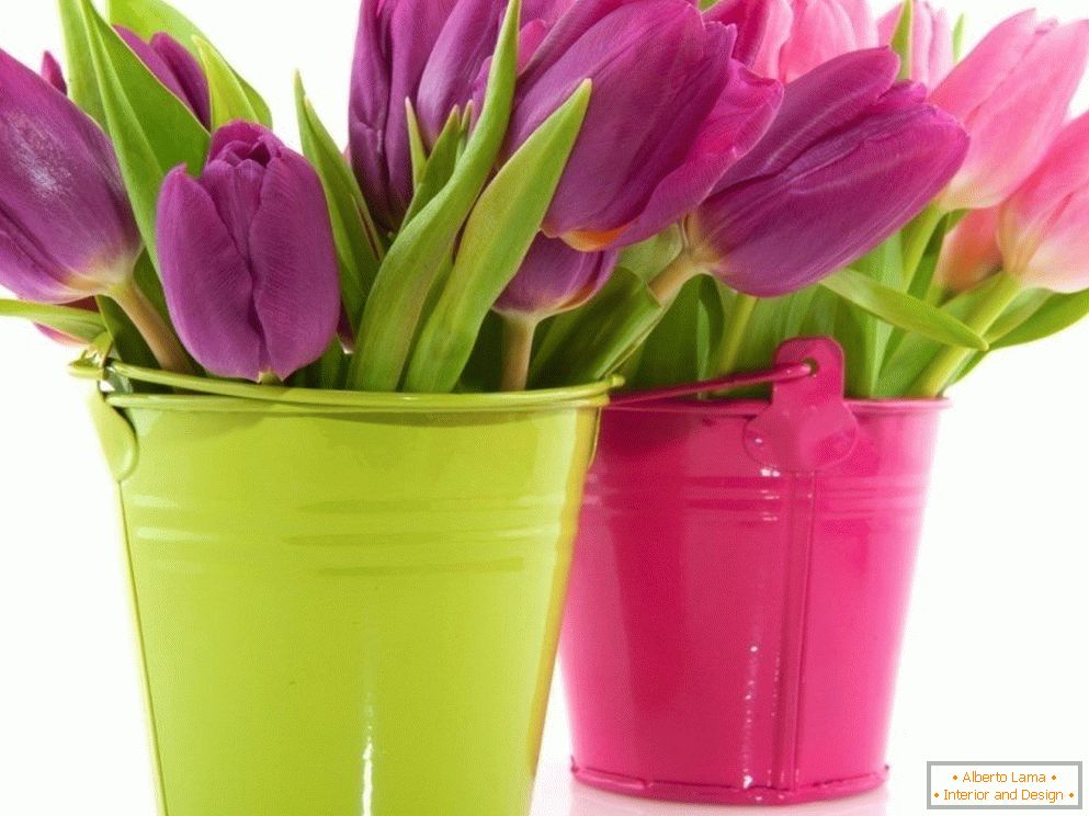 Tulipani in secchi colorati