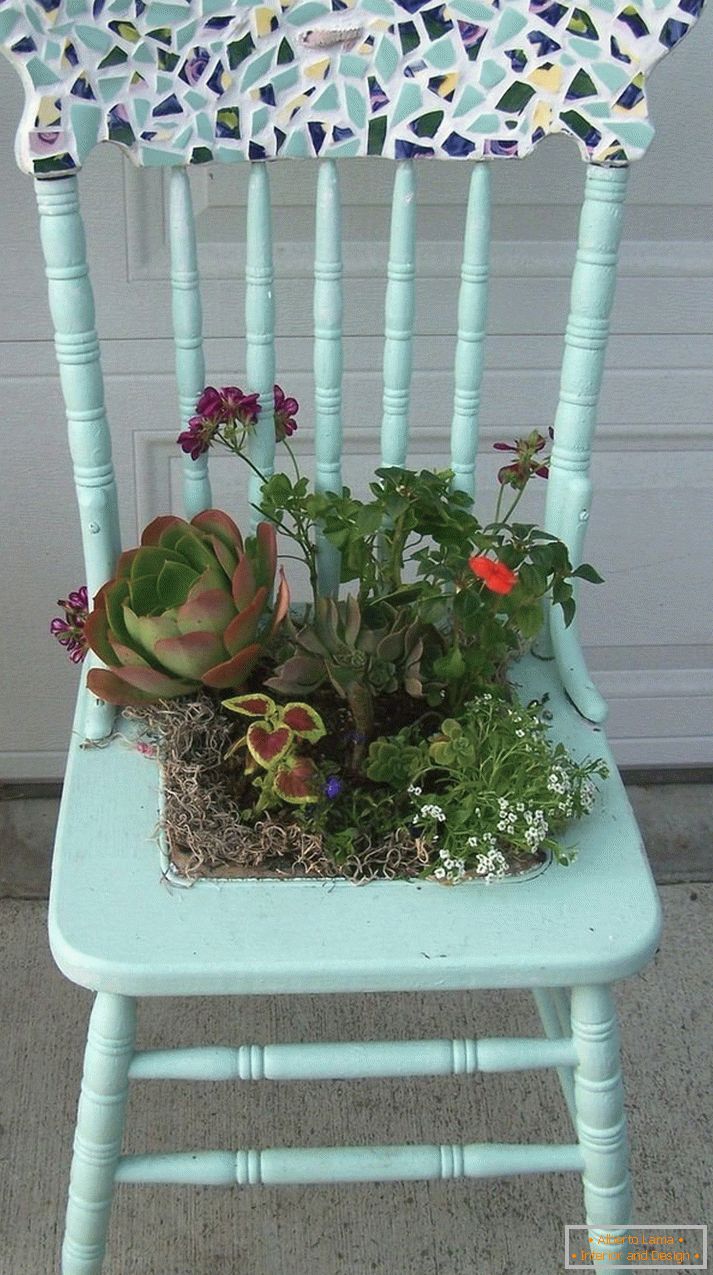 Disposizione dei fiori in una sedia a sella