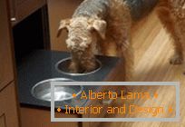 Design per animali domestici: crea un posto per mangiare un cane