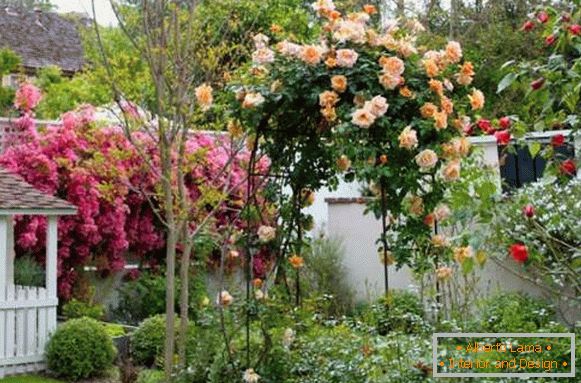 Paesaggistica di una casa privata - le migliori idee per il 2017 con i fiori