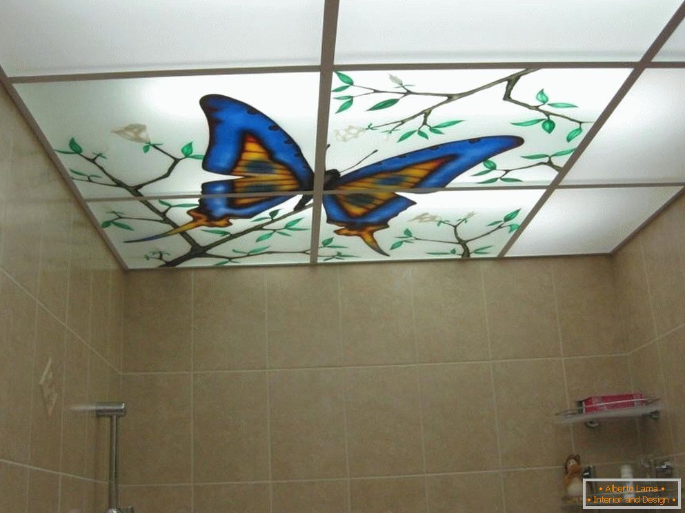 Farfalla sul soffitto