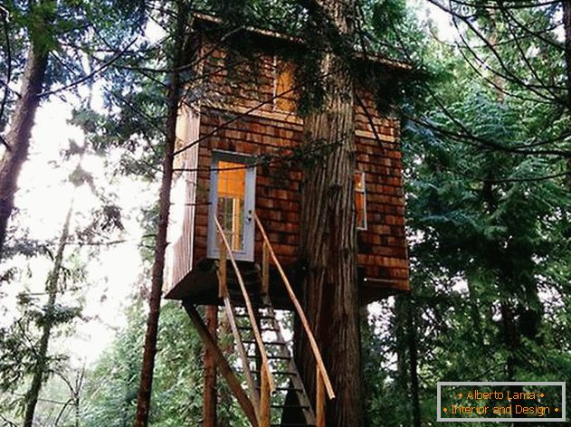 Una casa su un albero con una scala. Foto 1