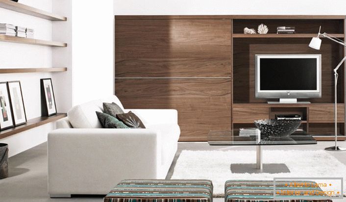 Il soggiorno è decorato secondo lo stile moderno, che accoglie l'uso di materiali di finitura di origine naturale.