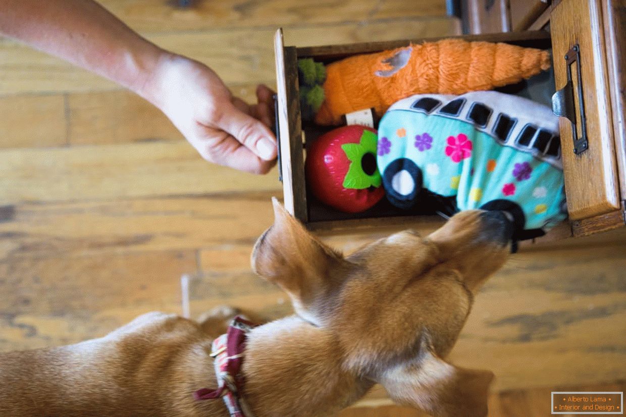 Scatola con giocattoli per cani