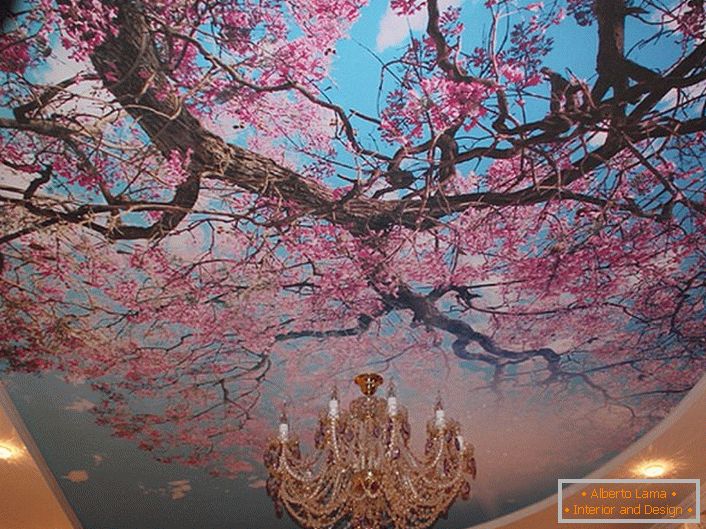 I fiori di ciliegio in fiore sono spesso usati dai designer moderni per decorare i soffitti. La soluzione reale per la registrazione di una camera per gli ospiti o di una sala.
