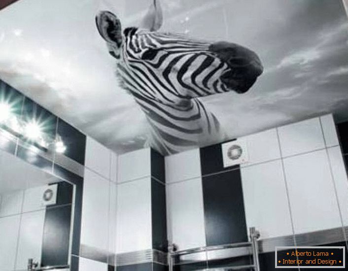 Una soluzione insolita per decorare un bagno in bianco e nero è l'immagine di una zebra su soffitti tesi con stampa fotografica.