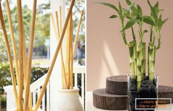 Bambù come decorazione