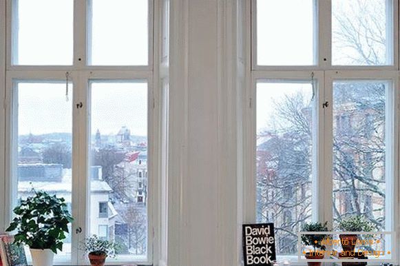 Decorazione della finestra con libri e piante da interno