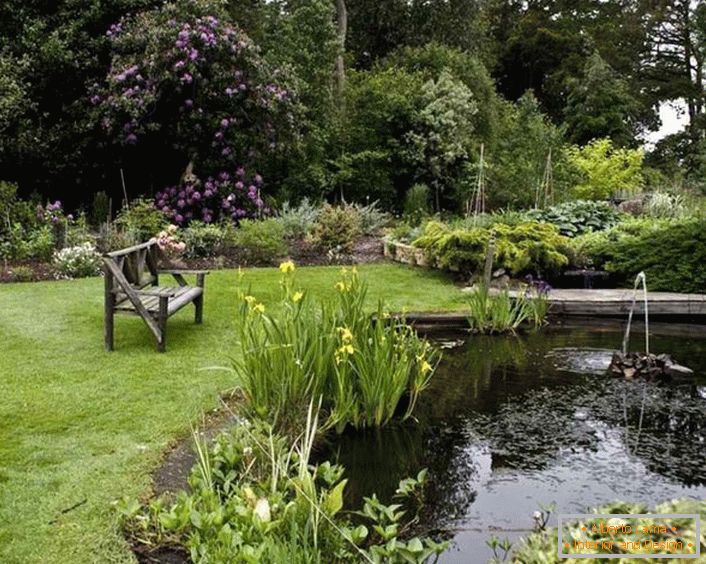 Progettazione paesaggistica del giardino in un accogliente stile country (52 foto)