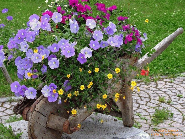 Carriola decorativa con fiori