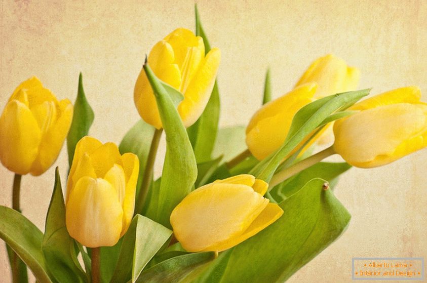 Un mazzo di tulipani gialli