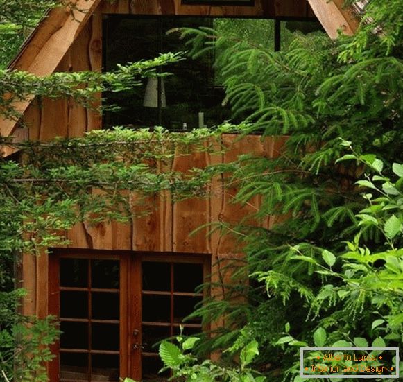 Piccola casa forestale (foto), США