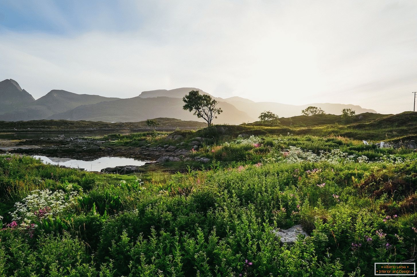 Paesaggio succoso di campi Norvegia