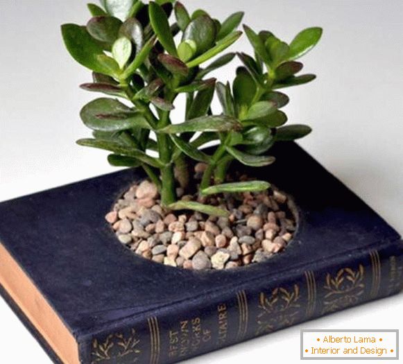 Vaso di piante dal libro