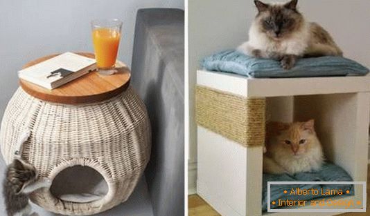 Un posto per un gatto in un appartamento