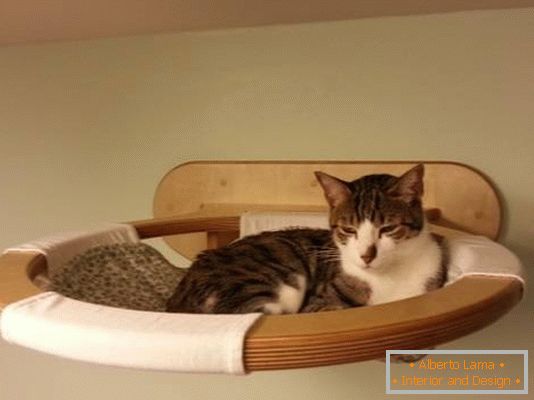 Mensola sospesa nel ruolo di un letto per un gatto
