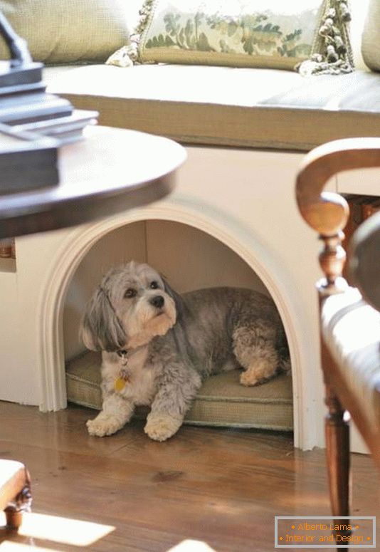 Casa accogliente per un cane in un appartamento