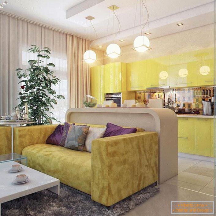 La cucina-soggiorno è una soluzione eccellente e funzionale per la progettazione di un appartamento situato in una metropoli moderna. 