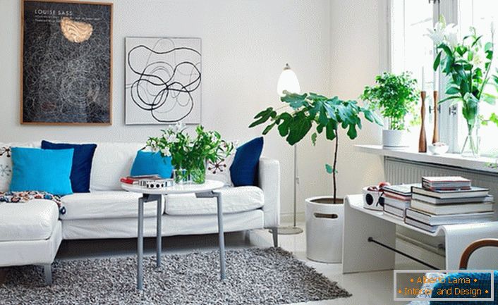 Accenti succosi di blu e turchese organicamente guardano sullo sfondo della decorazione bianca delle pareti del soggiorno. In conformità con lo stile nel design della stanza utilizzati fiori.