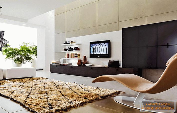 Una scelta naturale per il soggiorno: una parete e divani componibili. Uno speciale chip degli interni è una sedia ergonomica.