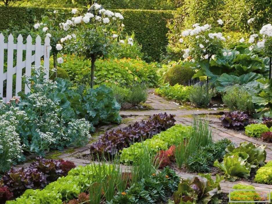 Giardino e giardino