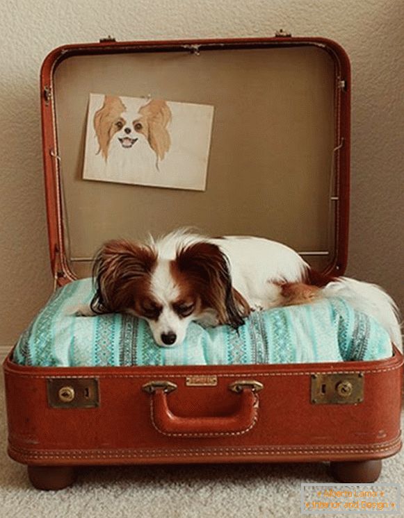 Posto per un cane da una valigia