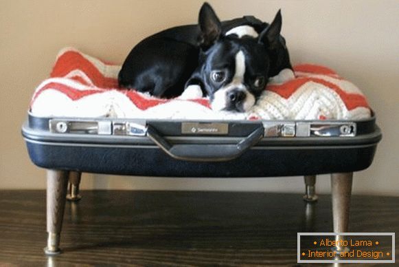 Posto per un cane da una valigia