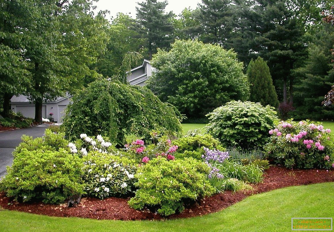 Giardino fiorito sul sito