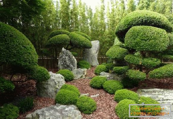 landscape design in foto in stile giapponese, foto 30