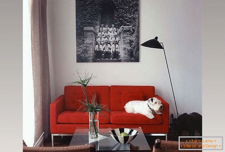Rigoroso divano rosso e sedie di vimini nel soggiorno