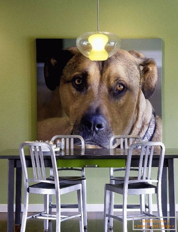 Foto del cane come decorazione del muro