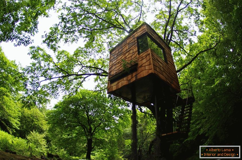 Treehouse di Takashi Kobayashi (Япония)