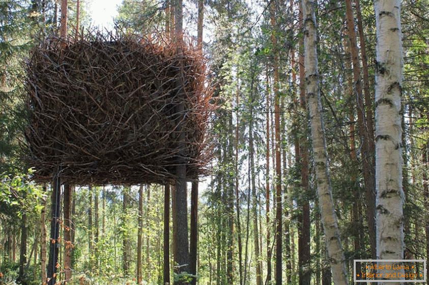 The Tree's Nest Tree House (Швеция)