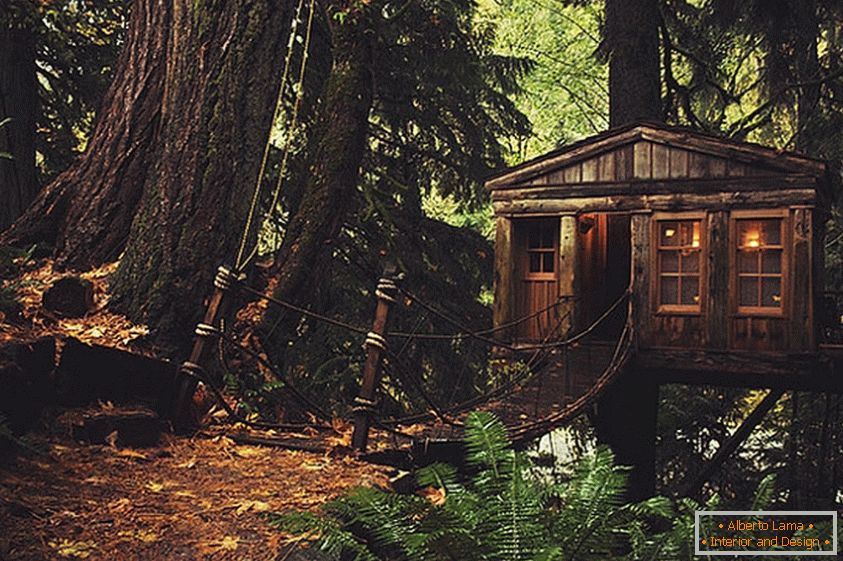 Treehouse in Seattle (Seattle, Stati Uniti)