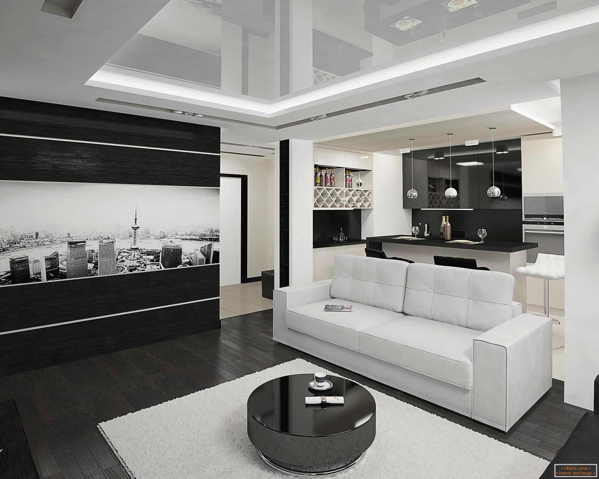 Interiore bianco e nero della cucina e del salone su 20 metri di piazza