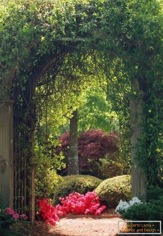 Arco con piante nel design del giardino