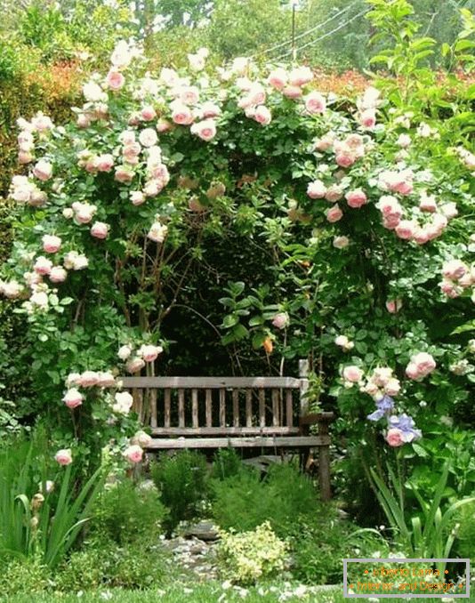 Un luogo appartato per rilassarsi nel giardino