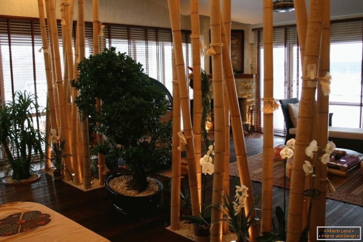 Partizione di bambù