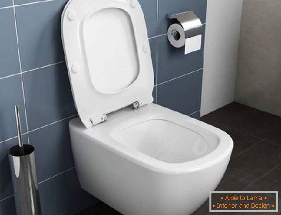 Toilette Bezobodkovy, foto 14