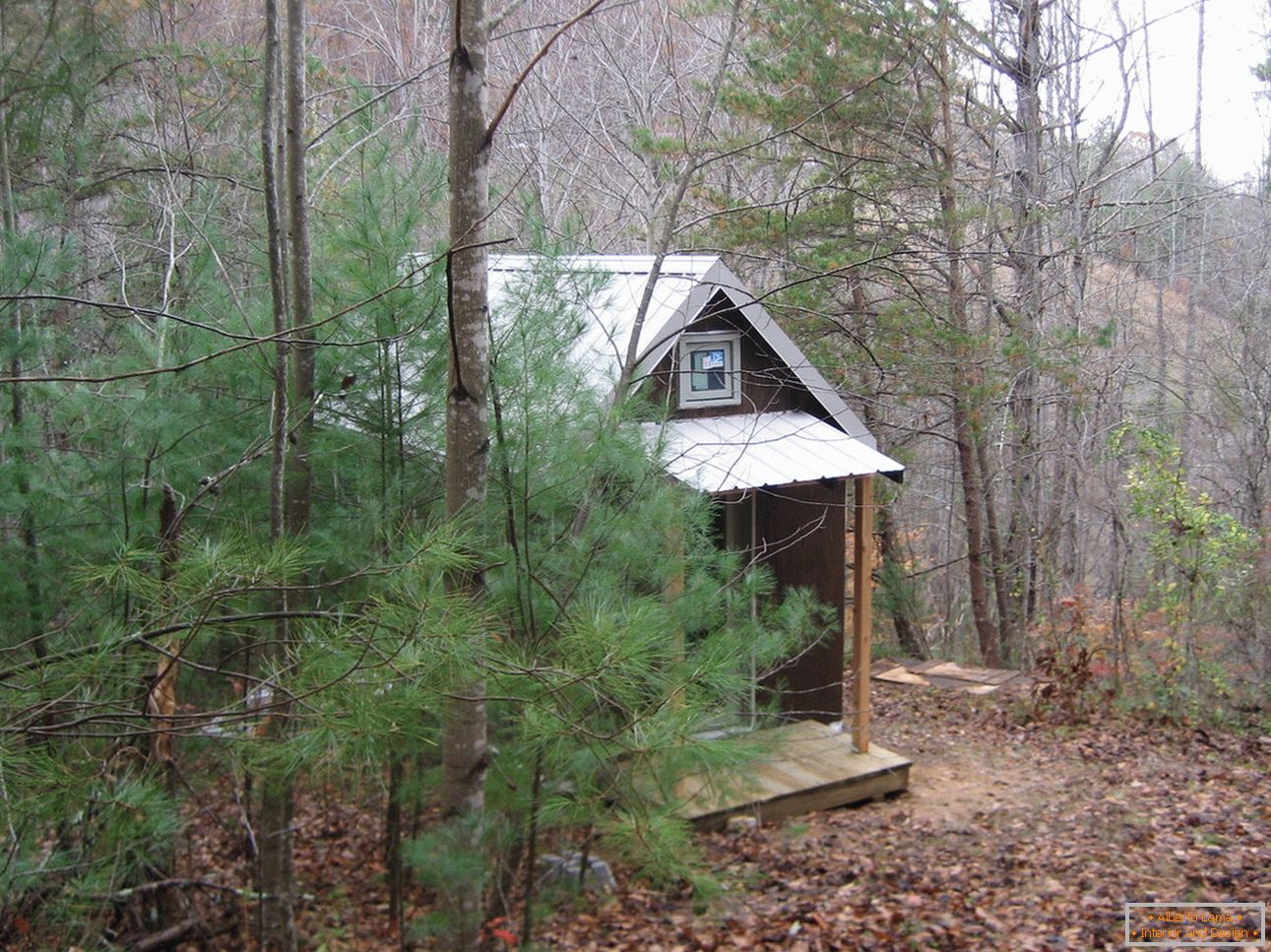 Piccola casa nella foresta