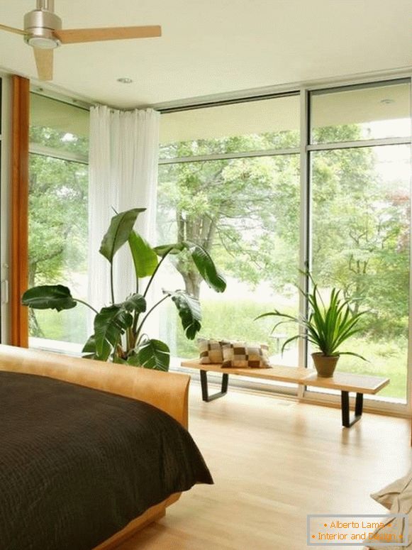 Grandi finestre e piante in vaso nella camera da letto