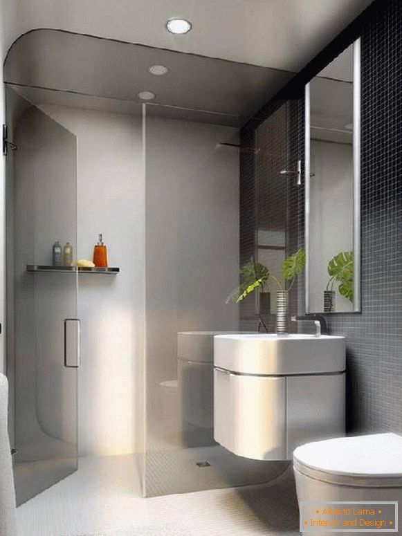 design del bagno combinato con toilette, foto 12