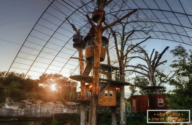 Case su un albero per la ricreazione a diverse altezze