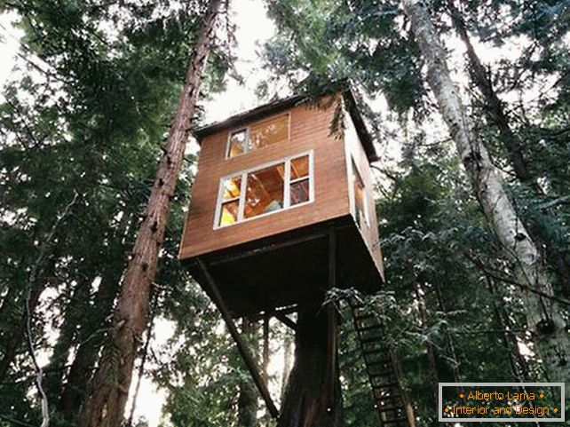 Una casa su un albero con una scala. Vista generale
