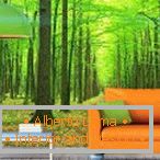 Sofà arancione su una priorità bassa verde della foresta