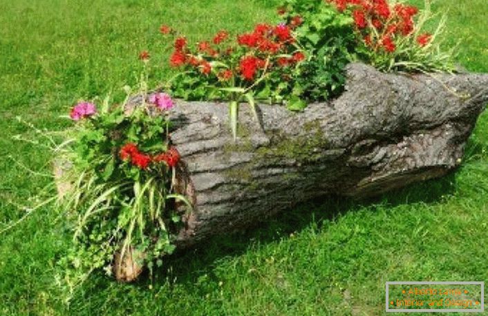 Dalla parte dell'albero abbattuto, l'addetto alle riunioni fece un letto lussuoso per il suo giardino.