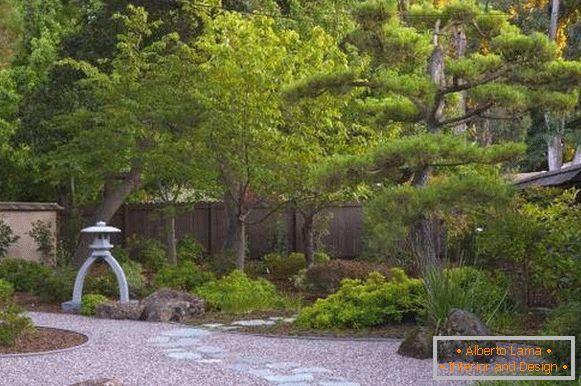 Sentieri del giardino - foto in stile giapponese