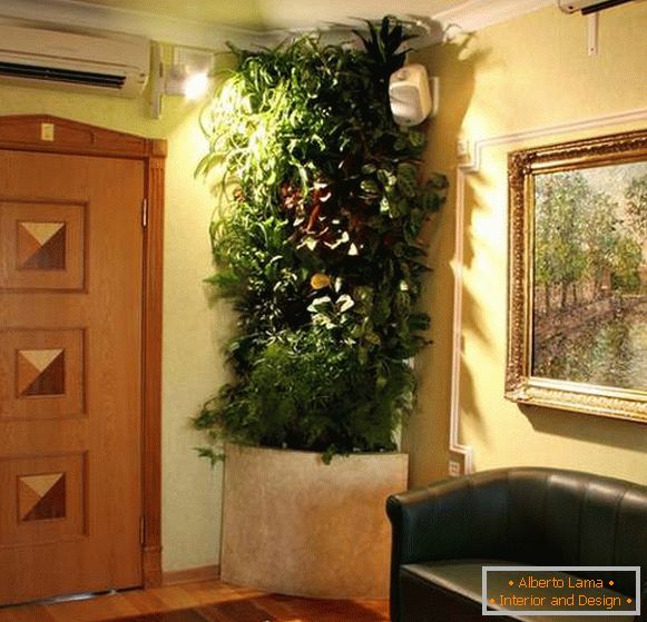 piante d'appartamento originali all'interno del corridoio, foto 11